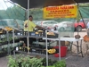 photo-sep-10-11-00-21-am
