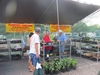 photo-sep-10-11-07-05-am